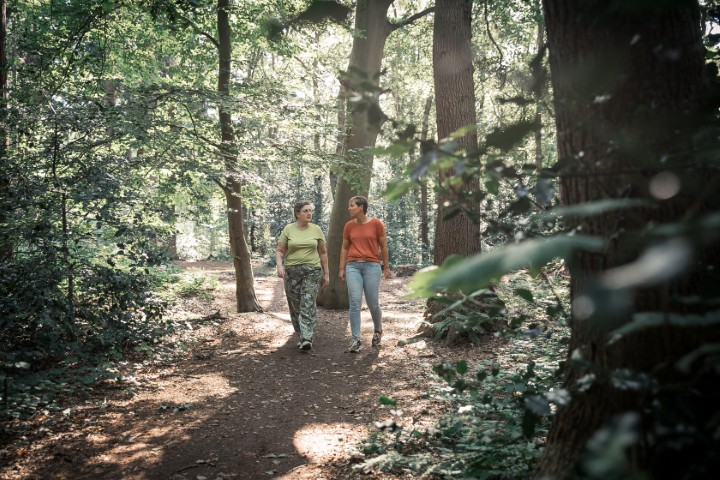 Coaching medewerkers door middel van wandelingen en coaching in de natuur