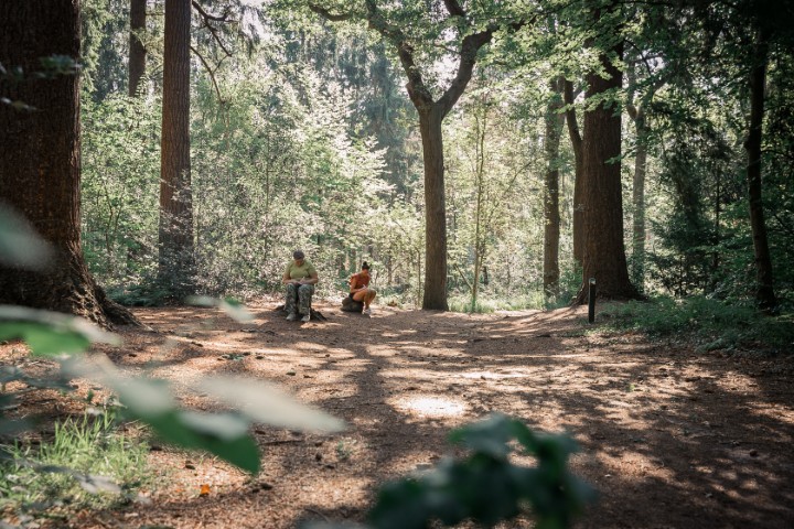 Natuurcoaching met Ellen Baas in het bos